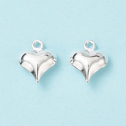 Anhänger aus 304 Edelstahl&nbsp;STAS-I138-11A-S