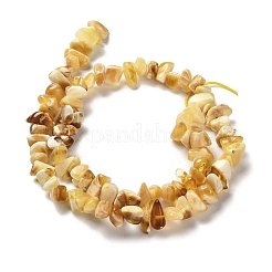 Perline ambra naturale fili&nbsp;G-L095-N01-03