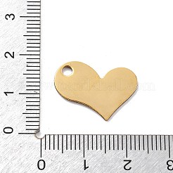 Pendentifs en acier inoxydable 304&nbsp;STAS-R155-008G