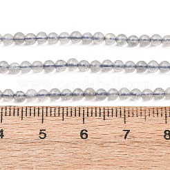 Natur Labradorit Perlen Stränge&nbsp;G-H358-A13-3mm-01