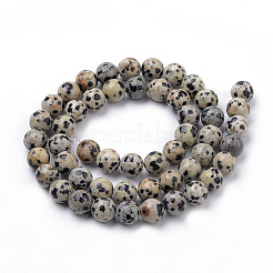 Natur Dalmatiner Jaspis Perlen Stränge&nbsp;G-S259-24-6mm