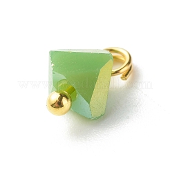 Glas Charms galvanisieren&nbsp;PALLOY-JF00821-04