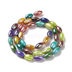 Naturali di acqua dolce perline shell fili&nbsp;SHEL-H001-13