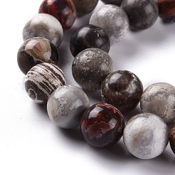 Fili di perline rotonde di agata di pizzo pazzo messicano naturale&nbsp;G-M379-25