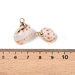 Pendentifs en coquillage naturel&nbsp;SSHEL-N038-43