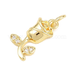 Pendentifs en laiton micro pavé de zircone cubique transparent pour la saint-valentin&nbsp;KK-D258-43G-02