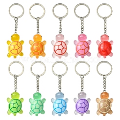 Schlüsselanhänger aus Schildkrötenharz&nbsp;KEYC-YW00149-01