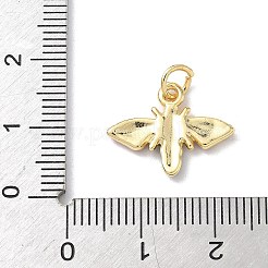Ciondoli in ottone smaltato con temi di insetti&nbsp;KK-B155-01A-01G