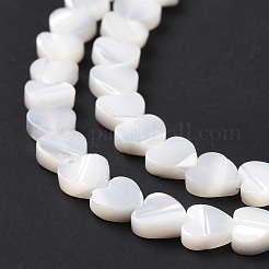 Natürliche Trochusmuschelperlenstränge&nbsp;SSHEL-H070-06A