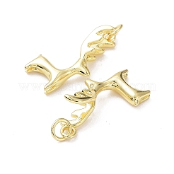 Messing Anhänger & Charms&nbsp;KK-G469-15G