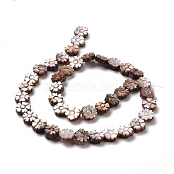 Natürliche lila Muschelperlenstränge&nbsp;SSHEL-G023-13B
