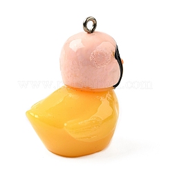 Pendentifs en résine&nbsp;FIND-U031-13A-P