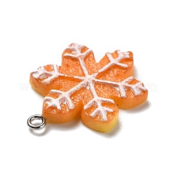 Pendentifs en résine opaque&nbsp;RESI-D055-130P