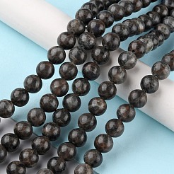 Natur Labradorit Perlen Stränge&nbsp;G-G0003-C03-10mm