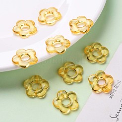 Cadres de perles acryliques transparents&nbsp;TACR-S154-29B-81