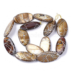 Shell perle d'acqua dolce fili&nbsp;SHEL-S274-51C