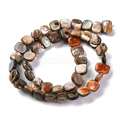 Natur Paua Muschel Perlen Stränge&nbsp;BSHE-B007-02