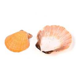 Natürliche Jakobsmuschelperlen&nbsp;SSHEL-N040-04