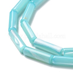 Trochid naturale perline shell fili&nbsp;SSHEL-G023-08