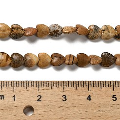 Natürliches Bild Jaspis Perlen Stränge&nbsp;G-P575-C08-6mm
