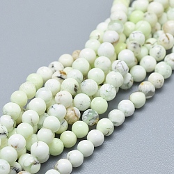 Natürliche australische türkisfarbene (Jaspis) Perlenstränge, Runde, Klasse A, 4 mm, Bohrung: 0.7 mm, ca. 102 Stk. / Strang, 15.75 Zoll (40 cm)