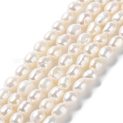 Fili di perle di perle d'acqua dolce coltivate naturali, due lati lucidati, grado 5 un, colore conchiglia, 8~9x7~8x6~7mm, Foro: 0.6 mm, circa 39~40pcs/filo, 13.39'' (34~35 cm)