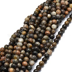 Ciocche di perline nere naturali, tondo, 8~8.5mm, Foro: 1 mm, circa 47pcs/filo, 15.55'' (39.5 cm)