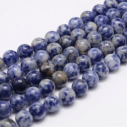 Brins de perles de jaspe de tache bleue naturelle, ronde, 8mm, Trou: 1mm, Environ 48 pcs/chapelet, 15.5 pouce