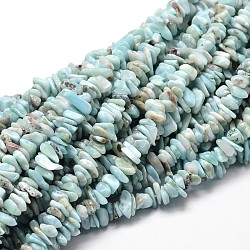 Chapelet de perles de copeaux de larimar naturelles, 5~14x4~10mm, Trou: 1mm, environ 15 pouce