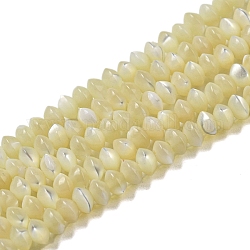 Brins de perles rondelles en coquille de troca naturelle, perles de soucoupe, verge d'or pale, 3x2mm, Trou: 0.5mm, Environ 202~205 pcs/chapelet, 15.94~16.14'' (40.5~41 cm)