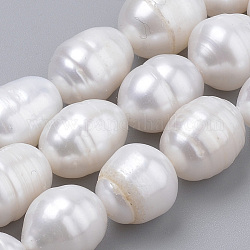 Brins de perles de culture d'eau douce naturelles, riz, couleur de coquillage, 10~14x9~10mm, Trou: 0.5mm, Environ 14 pcs/chapelet, 6.69 pouce (17 cm)