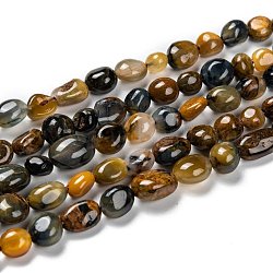Hilos de perlas de pietersita natural, pepitas, piedra caída, 5~8.5x5.5~7x3.5~4mm, agujero: 0.7 mm, aproximamente 64 pcs / cadena, 16.34'' (41.5 cm)