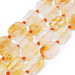 Natural Citrine Beads Strands, Rectangle, 14~17x11~13x5~6mm, Hole: 1mm, about 21~23pcs/strand, 15.75~16.14 inch(40~41cm)