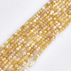 Giallo perline shell fili, tondo, oro, 2.5~3mm, Foro: 0.5 mm, circa 150pcs/filo, 14.9 pollice