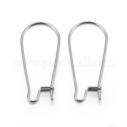 304 Stainless Steel Hoop Earring Findings X-STAS-P223-01P-05-1