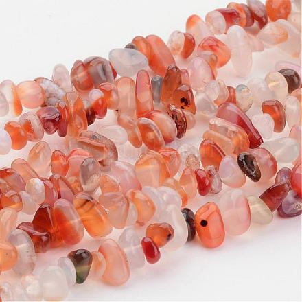 Perles en pierres gemme F017-1-1