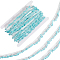 10 Yards Elastics Spandex Ribbon, with Cardboard Display Card, Dark Turquoise, 7/8 inch(22mm)