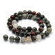 Natural African Bloodstone Beads Strands G-G763-08-10mm-2