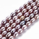 Natural Cultured Freshwater Pearl Beads Strands PEAR-N012-02D-2