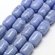 Chapelets de perles en turquoise synthétique X-TURQ-G139-01-1