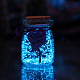 Leuchtende Wunschflasche aus Glas PW-WG46101-06-1