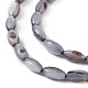 Brins de perles d'eau douce naturelles teints en coquille SHEL-M018-13-04-3