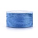 Polyester Braided Cords OCOR-I006-A01-21-1