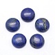Cabochons en lapis lazuli naturel X-G-P393-R11-12mm-1