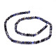 Perles naturelles Iolite brins G-E569-H13-2