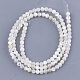 Perles de coquillage blanc naturel SHEL-T012-49B-2