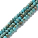 Natural Howlite Beads Strands G-E604-B03-B-1