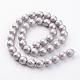 Cuentas perlas de concha de perla BSHE-J016-12mm-09-2