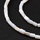 Natural Freshwater Shell Dyed Beads Strands X-SHEL-M018-12-12-4
