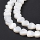 Brins de perles de coquillages naturels de troca SSHEL-H070-06A-5